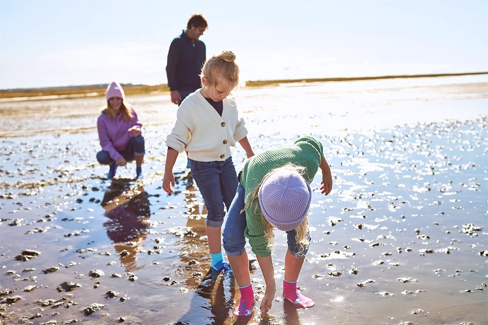 Zwei Kinder in blauen und pinken BEACHIES® Socken erkunden das Watt, im Hintergrund zwei Erwachsene in der weiten Wattlandschaft.