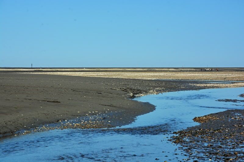 Weite Wattlandschaft bei Ebbe unter klarem, blauem Himmel. Im Vordergrund schlängelt sich ein flacher Priel durch dunklen Schlick, an dessen Rändern Muschelschalen und Steine liegen. Dahinter erstreckt sich eine helle Sandbank bis zum Horizont.