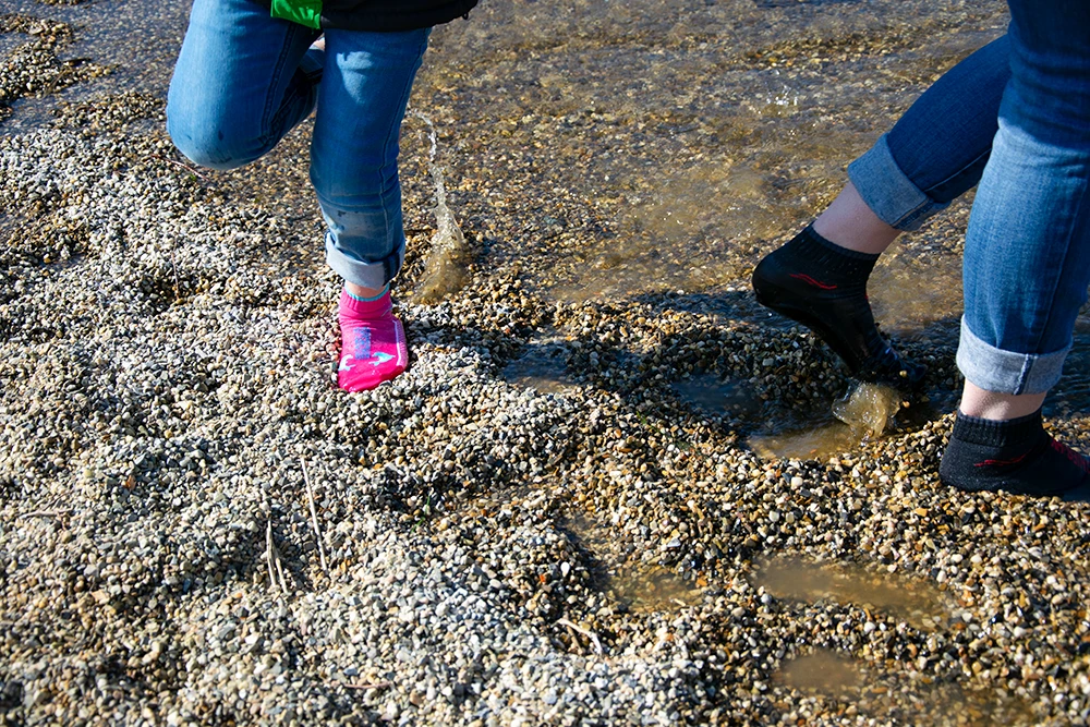 Zwei Personen in Jeans laufen in pinken und schwarzen BEACHIES® Socken über nassen Kies am Wasser.